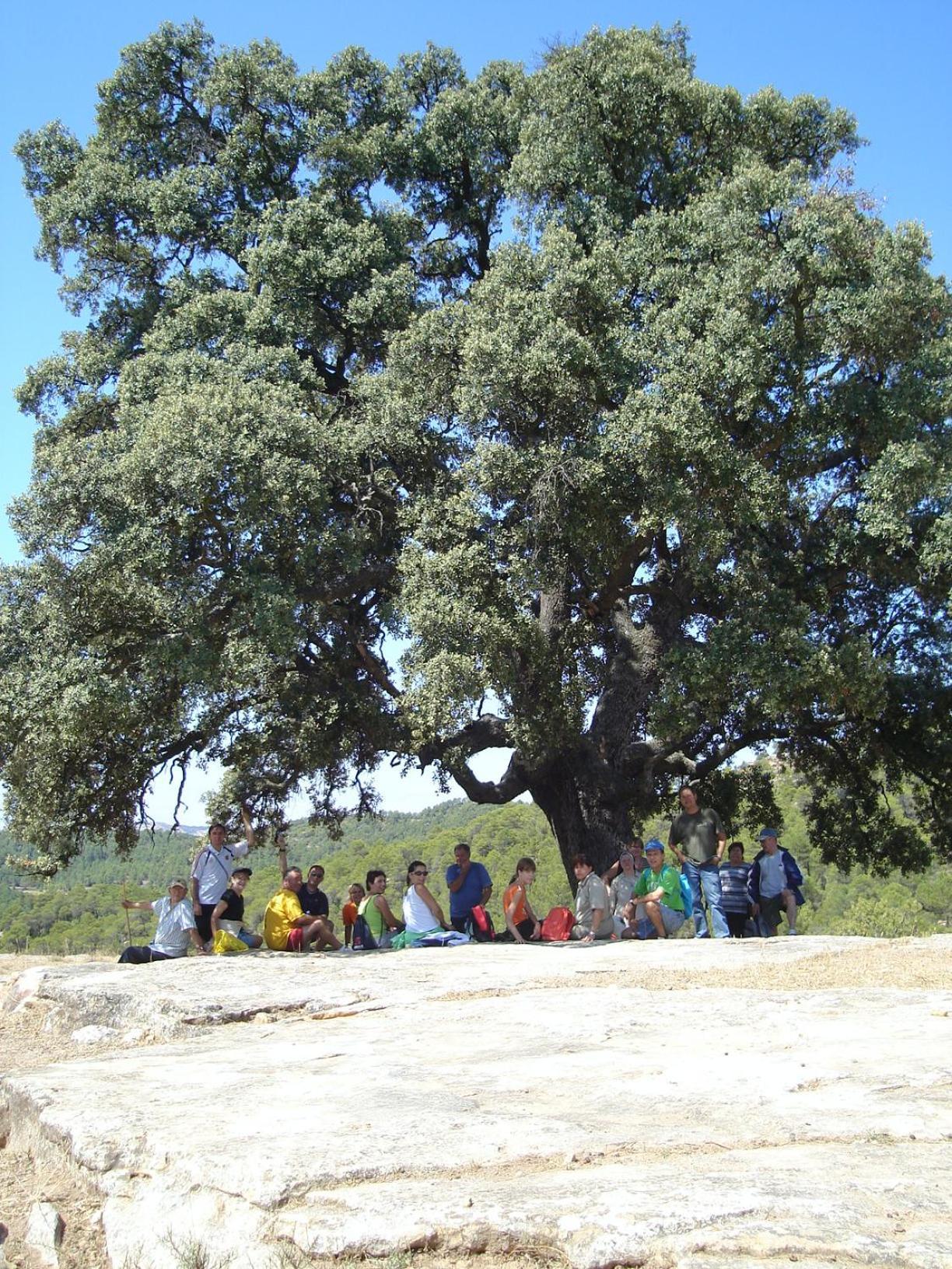 Abaric Casa Rural La Canada de Verich المظهر الخارجي الصورة